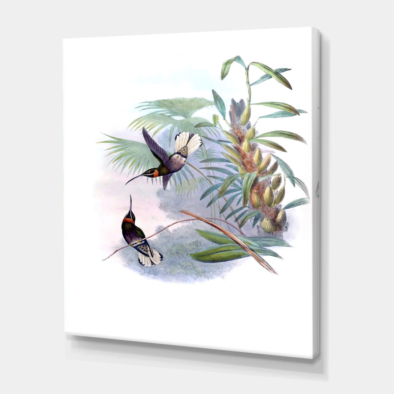 Designart - Vintage Hummingbird On A Branch - Traditional Canvas Wall Art Print